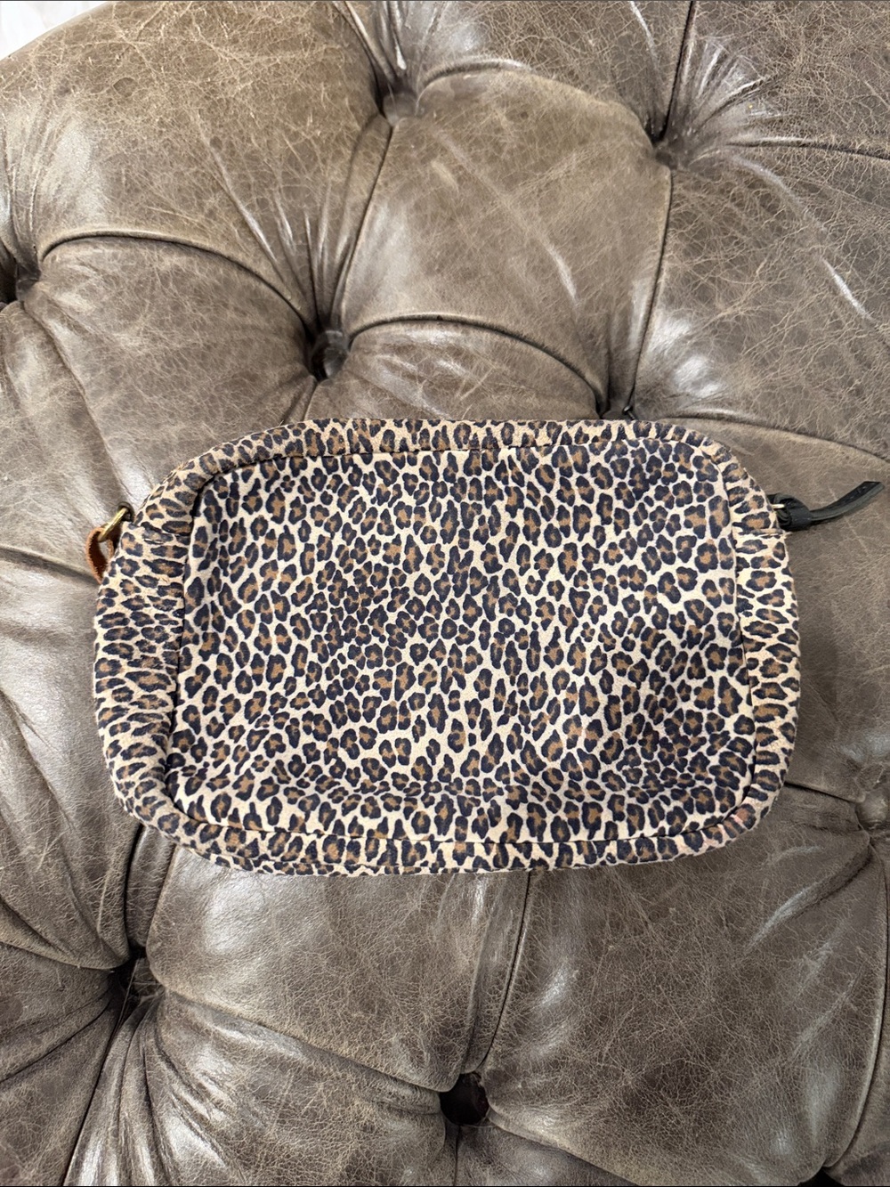 Clare V Leopard Print Leather Cosmetic Pouch